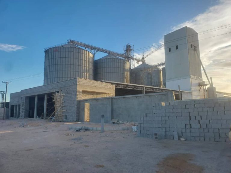 photo 2025 11 26 22 01 41